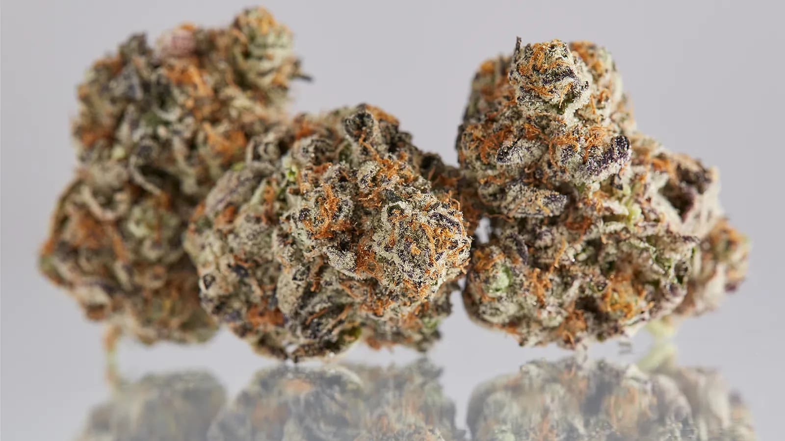 Premium craft cannabis flower closeup