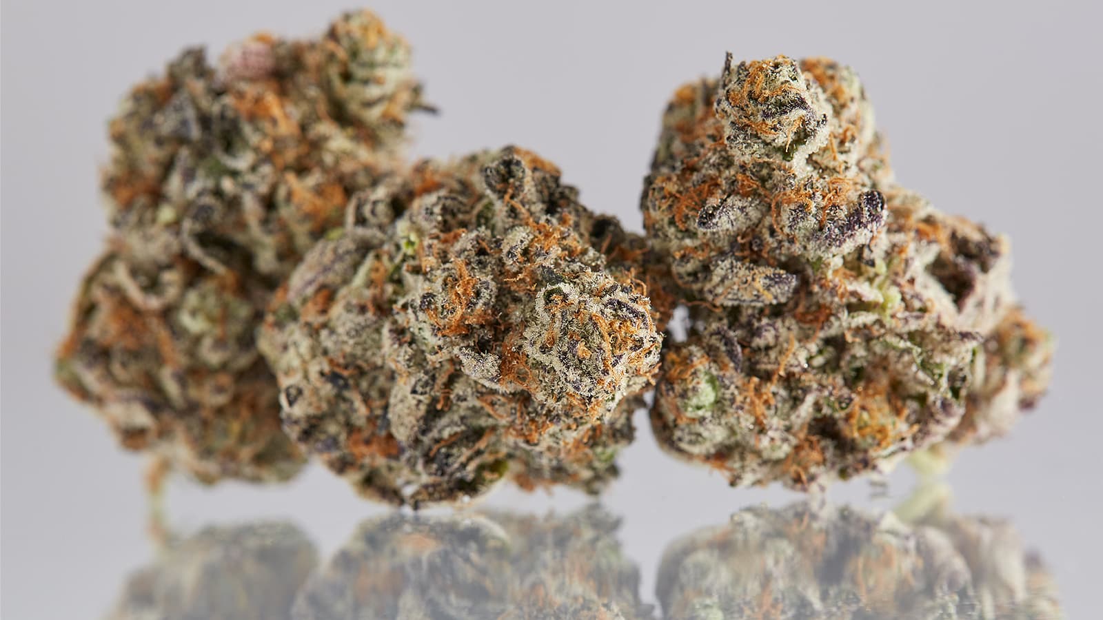 Premium craft cannabis flower closeup